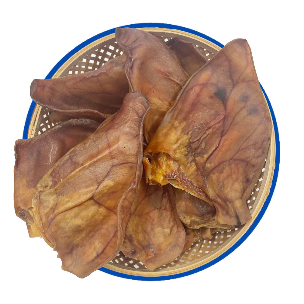 Australian Pig Ears