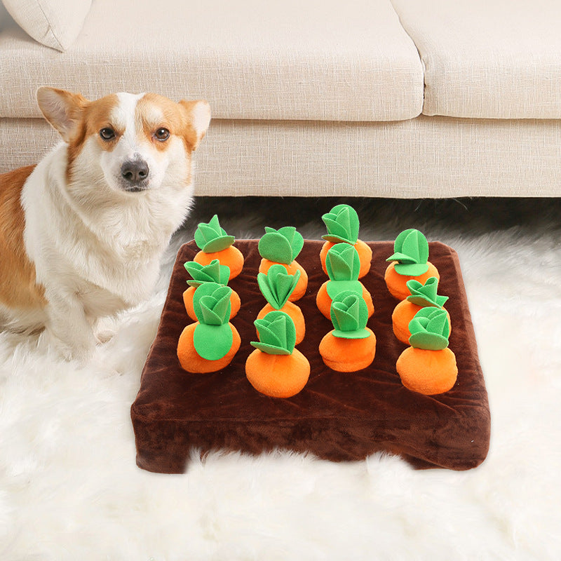 Carrot Puzzle Treat Toy Performance Pet Foods