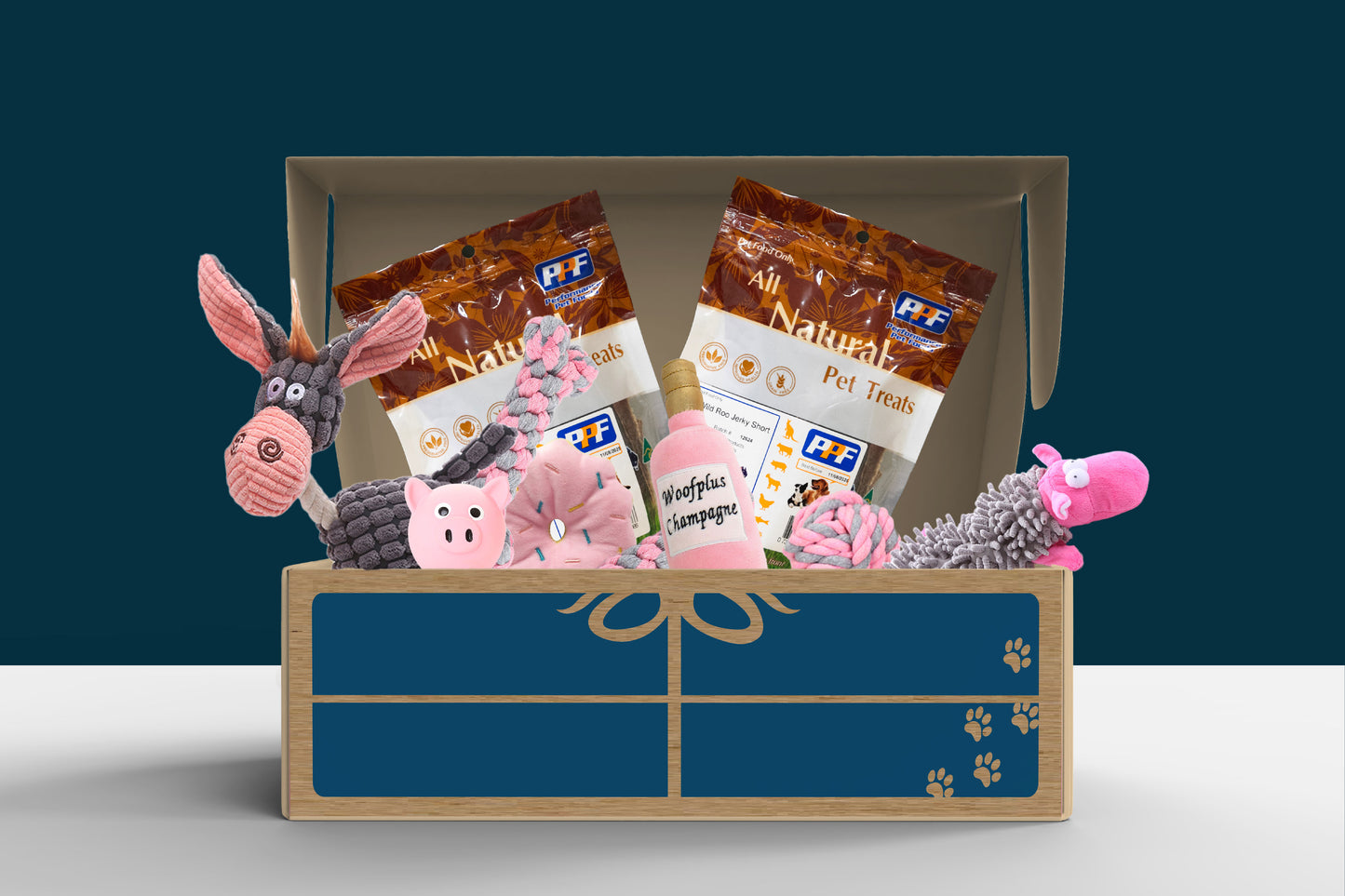 Treat Present Box (Medium)