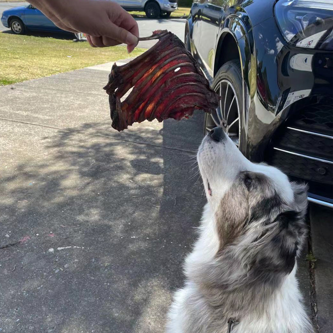 Kangaroo Rib Rack Dog Treats