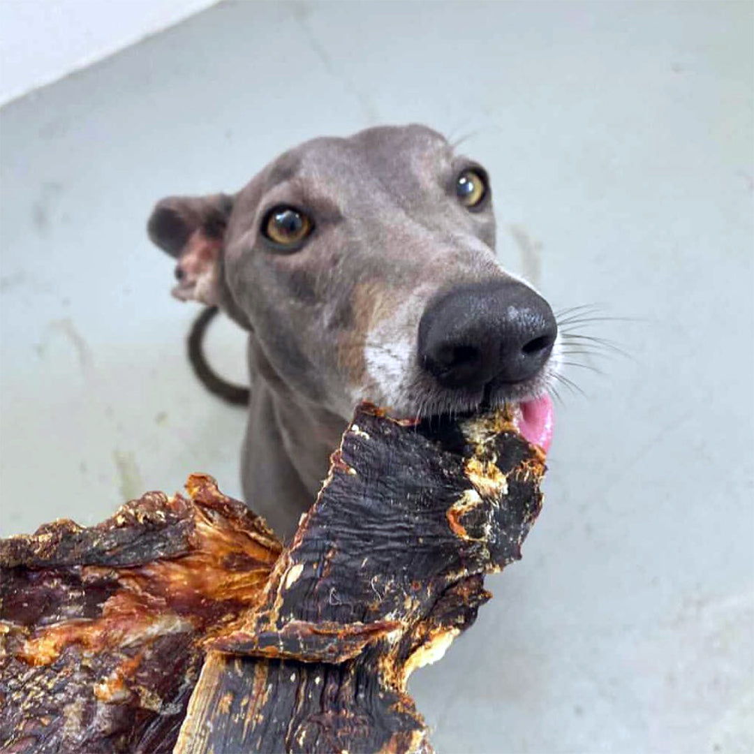 Kangaroo Jerky Short Dog/Cat Treats