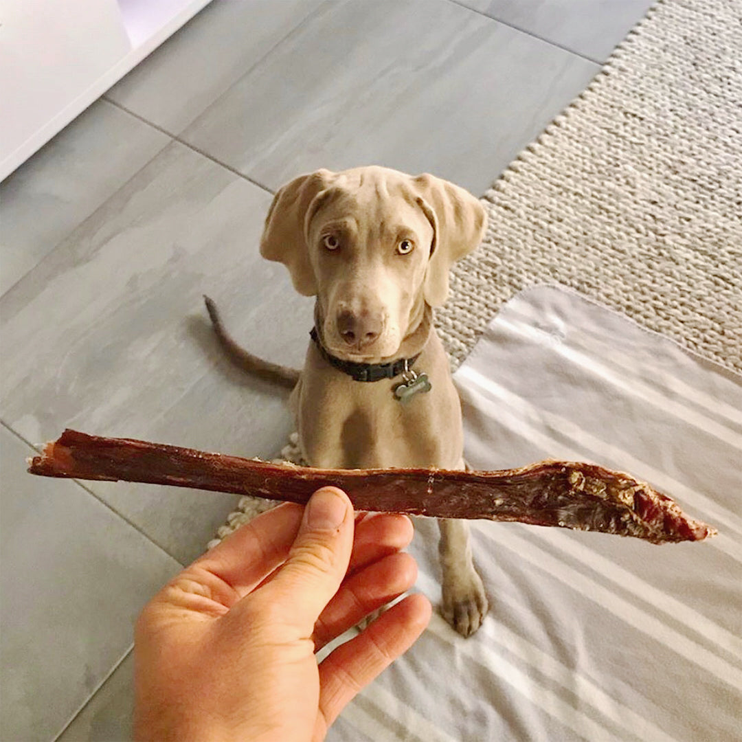Kangaroo Strips Dog Treats