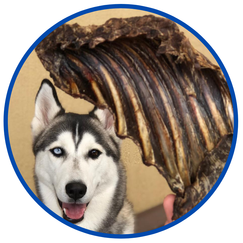 7 x 250g - Mega Kangaroo Dog Treats Pack