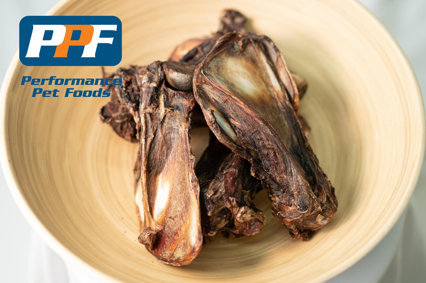 Kangaroo Shoulder Bone