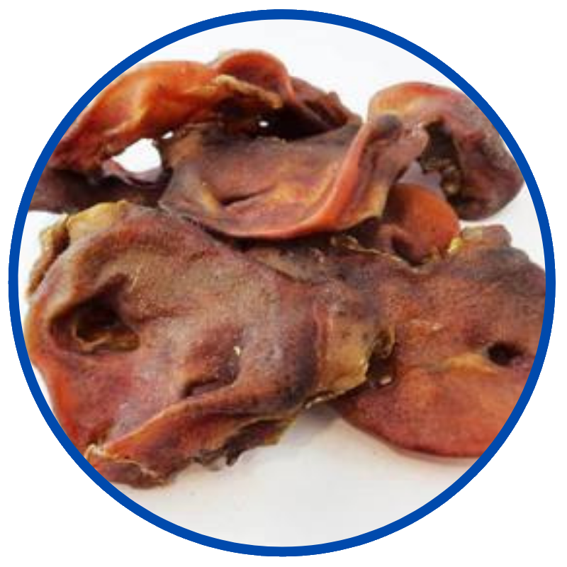 Australian Pig Snouts