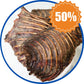 Kangaroo Rib Rack Dog Treats