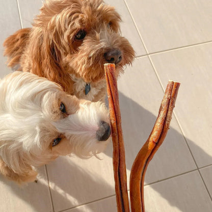 Beef Pizzle Dog Treats