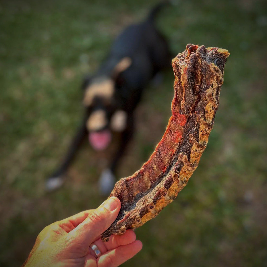 Kangaroo Back Bone Dog Treats