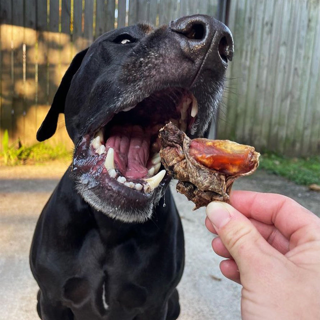 Kangaroo Cartilage Chew Dog Treats