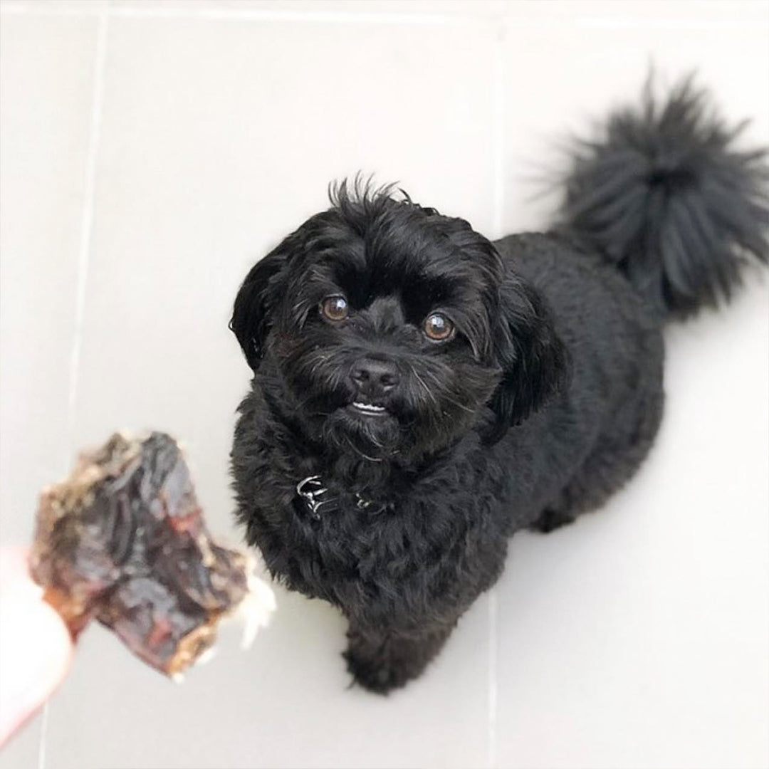 Kangaroo Cartilage Chew Dog Treats