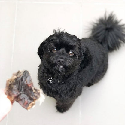Kangaroo Cartilage Chew Dog Treats