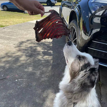 Kangaroo Rib Rack Dog Treats