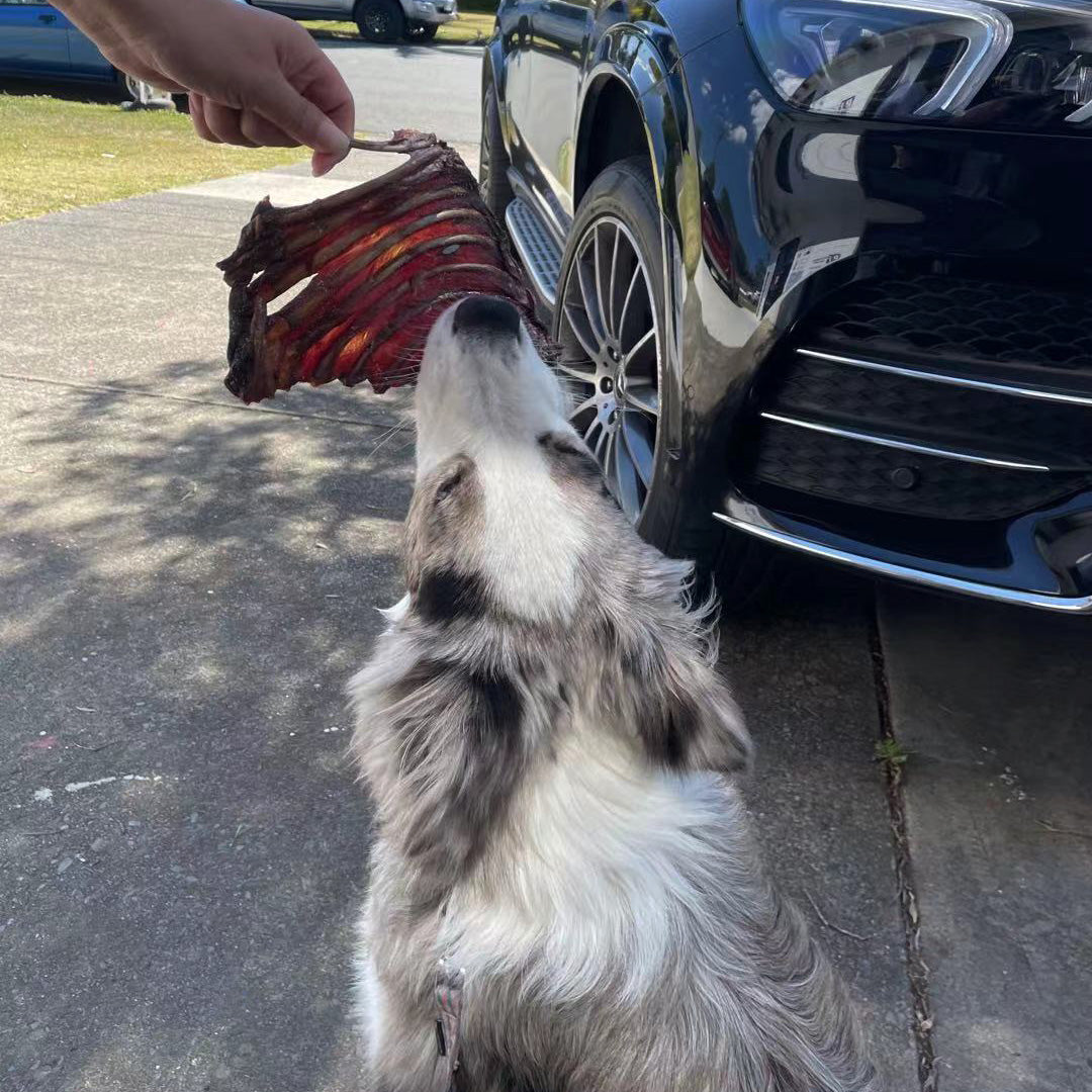 Kangaroo Rib Rack Dog Treats