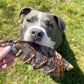 Kangaroo Sternum Bone Dog Treats