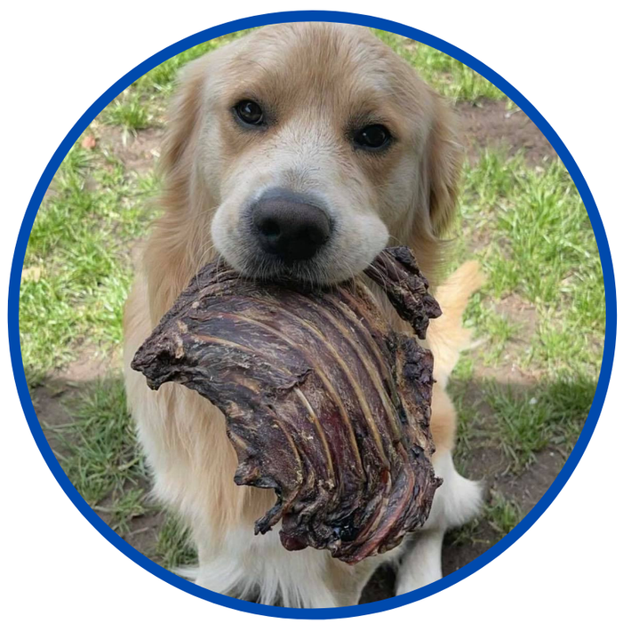 Performance Pet Foods - Australian Made Dog Treats