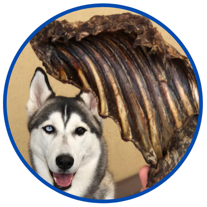 7 x 250g - Mega Kangaroo Dog Treats Pack