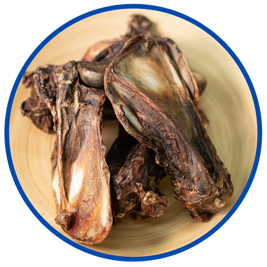 Kangaroo Shoulder Bone Dog Treats
