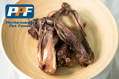 Kangaroo Shoulder Bone