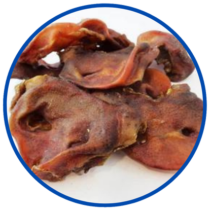 Australian Pig Snouts