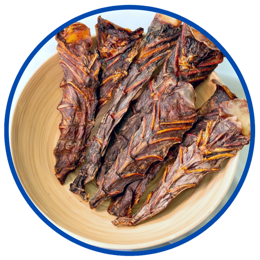 Kangaroo Sternum Bone Dog Treats