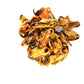 SUBSCRIPTION New Zealand Green Lip Mussel